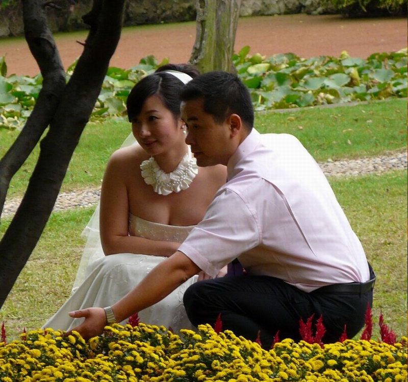 柳荫公园拍婚纱照的美丽新娘(1)
