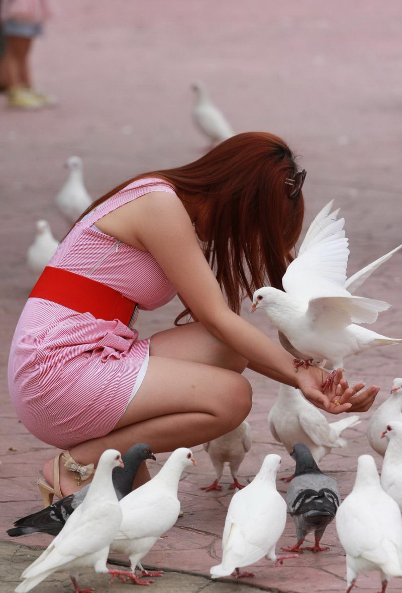 新绿洲时代广场喂鸽子的美女