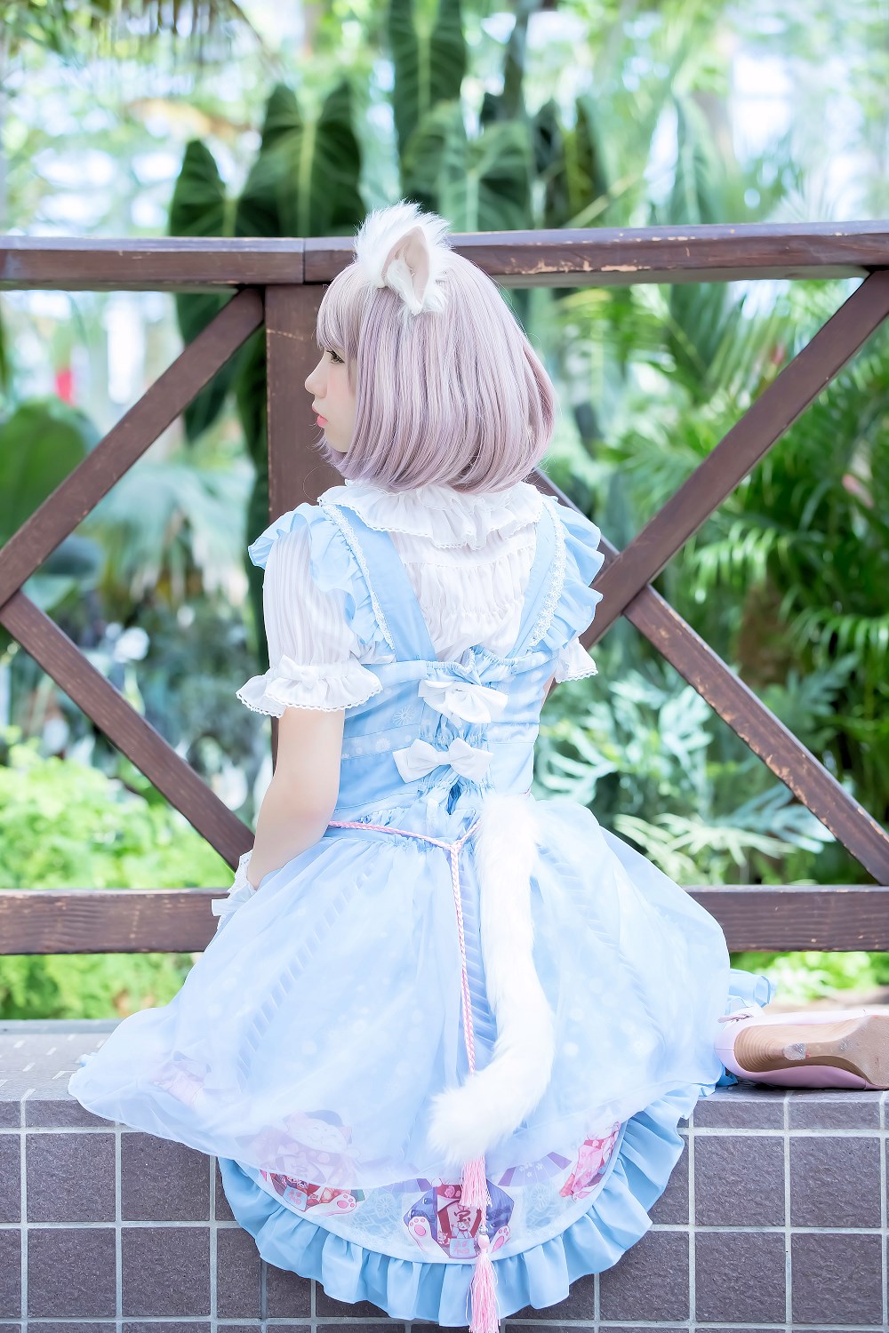 粉蓝猫咪coser