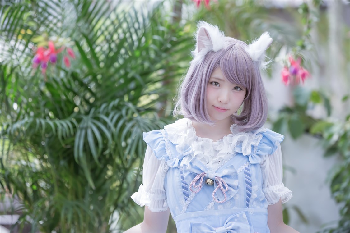 粉蓝猫咪coser